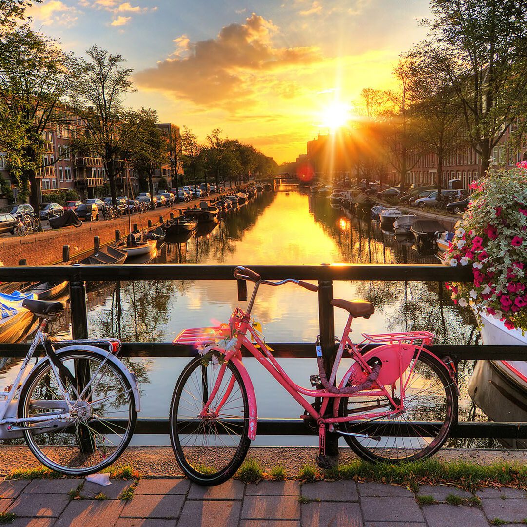 amorette international amsterdam bridge with pink bycicle 